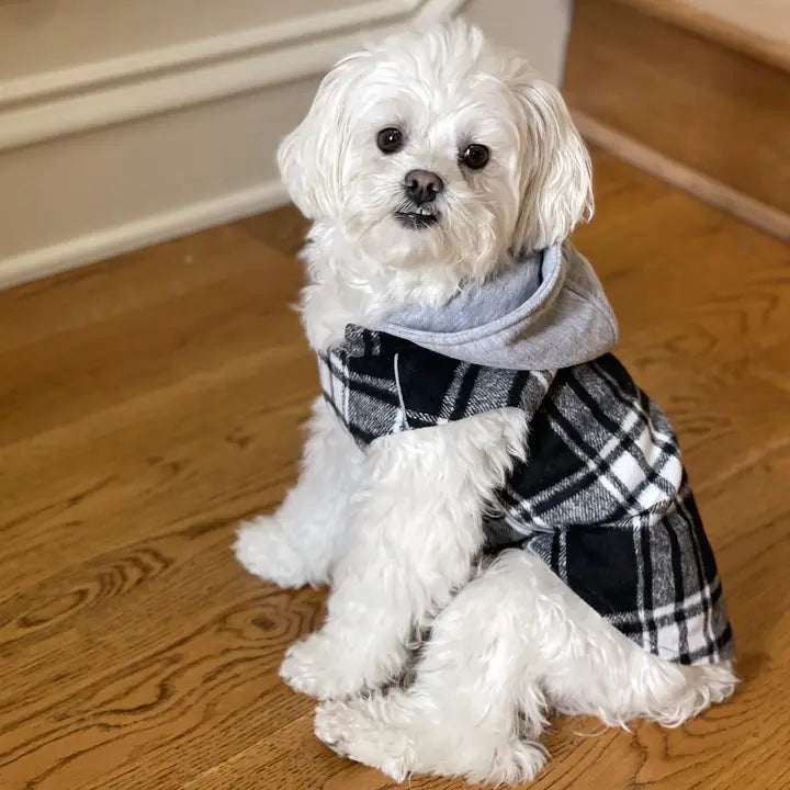 PLAID DOG HOODY